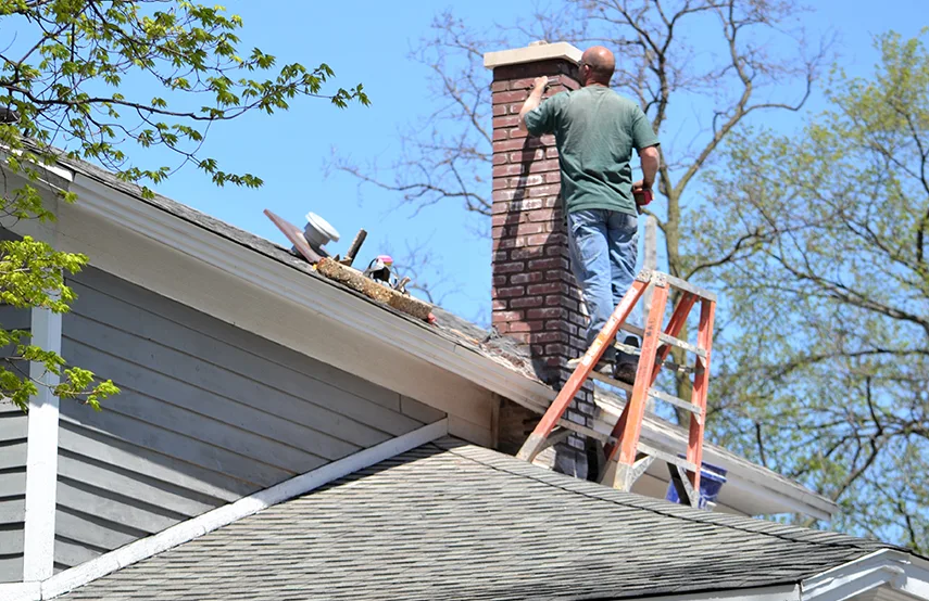 Chimney & Fireplace Inspections Services in Smyrna, GA